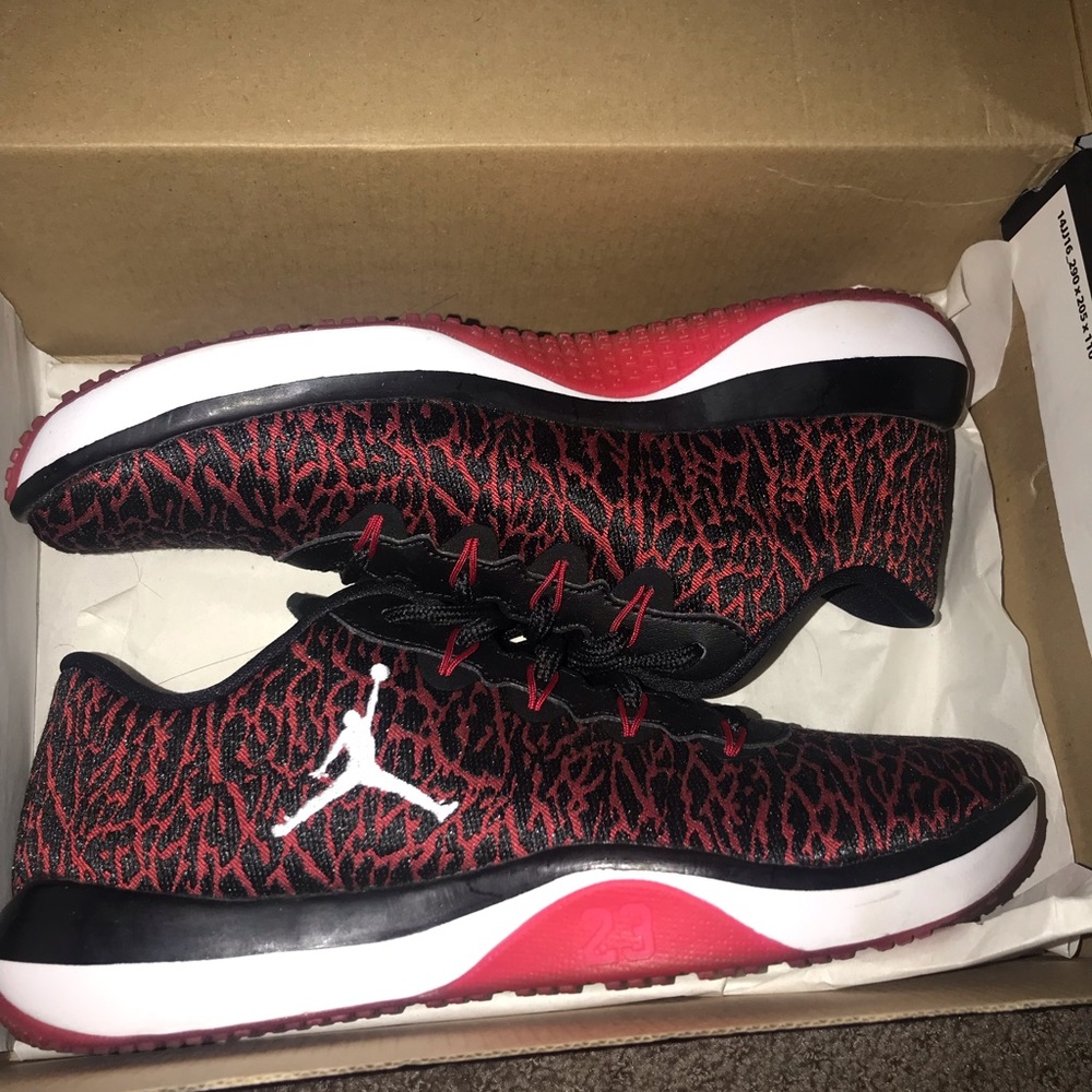 Jordan trainer 1 low